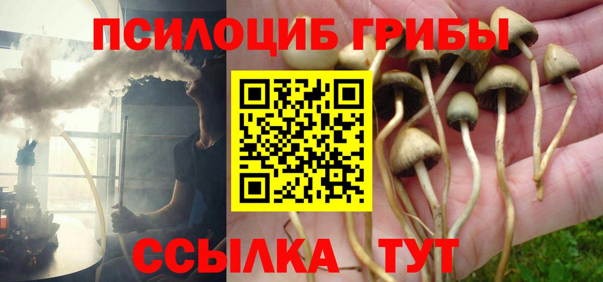 Псилоцибиновые грибы Cubensis Альметьевск